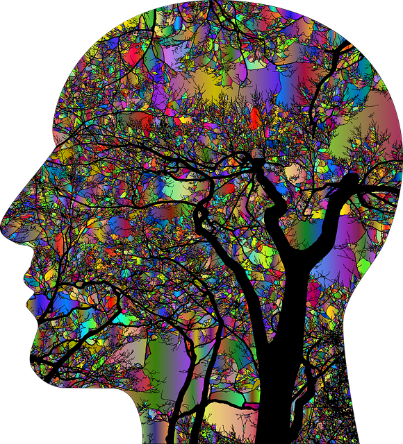Understanding Autism